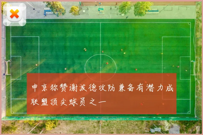 申京称赞谢泼德攻防兼备有潜力成联盟顶尖球员之一