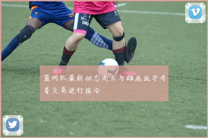 篮网队最新动态尚未与雄鹿就字母哥交易进行接洽