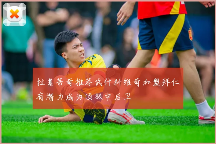 拉基蒂奇推荐武什科维奇加盟拜仁有潜力成为顶级中后卫
